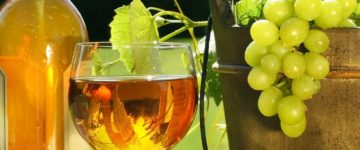 copa-de-vino-y-uvas-verdes-del-viñedo-white-wine