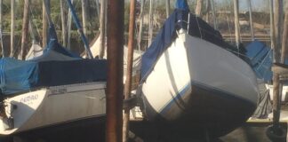 SANTA FE – POR LA EXTREMA BAJANTE DEL RIO, EL 40 % DE LAS EMBARCACIONES NO PUEDEN NAVEGAR Bajante del Río Paraná - Rosario 2020