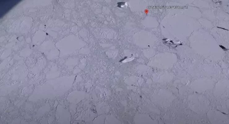 La figura de hielo fue hallada en la costa de la Antártida Crédito: Captura YouTube