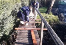 CONTINÚAN LOS TRABAJOS DE MANTENIMIENTO INTEGRAL EN EL DELTA DE TIGRE