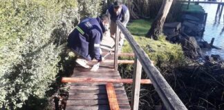 CONTINÚAN LOS TRABAJOS DE MANTENIMIENTO INTEGRAL EN EL DELTA DE TIGRE