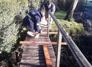 CONTINÚAN LOS TRABAJOS DE MANTENIMIENTO INTEGRAL EN EL DELTA DE TIGRE