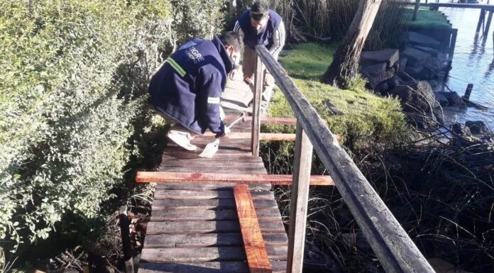 CONTINÚAN LOS TRABAJOS DE MANTENIMIENTO INTEGRAL EN EL DELTA DE TIGRE