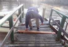 DELTA DE TIGRE: SE PROFUNDIZA LOS TRABAJOS DE DESTRONQUE Y REPARACION DE MUELLES, PUENTES Y LUMINARIAS