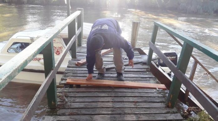 DELTA DE TIGRE: SE PROFUNDIZA LOS TRABAJOS DE DESTRONQUE Y REPARACION DE MUELLES, PUENTES Y LUMINARIAS