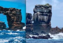 SE DERRUMBÓ EL ARCO DE DARWIN EN LAS ISLAS GALÁPAGOS