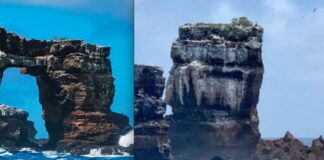 SE DERRUMBÓ EL ARCO DE DARWIN EN LAS ISLAS GALÁPAGOS