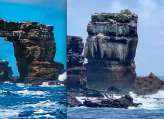 SE DERRUMBÓ EL ARCO DE DARWIN EN LAS ISLAS GALÁPAGOS