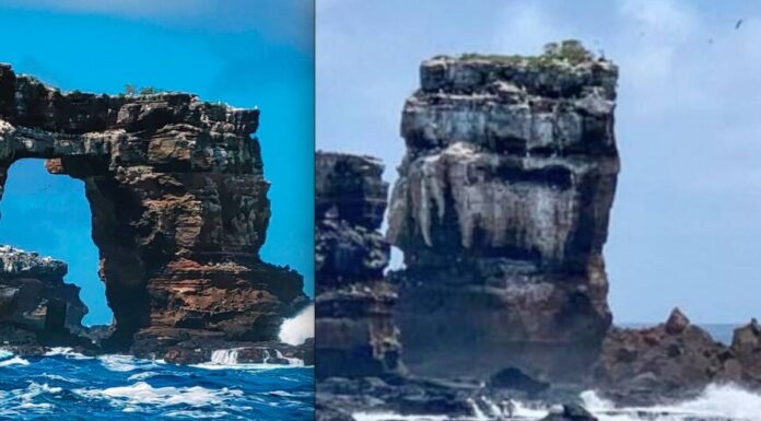 SE DERRUMBÓ EL ARCO DE DARWIN EN LAS ISLAS GALÁPAGOS