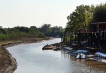 SANTA FE: ADVIERTEN QUE SI CONTINÚA EL DESCENSO DEL RÍO PARANÁ PODRÍA REPETIRSE LA BAJANTE HISTÓRICA DEL 2020