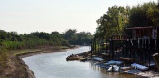 SANTA FE: ADVIERTEN QUE SI CONTINÚA EL DESCENSO DEL RÍO PARANÁ PODRÍA REPETIRSE LA BAJANTE HISTÓRICA DEL 2020