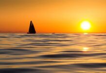 THE OCEAN RACE Y TIME SE UNEN PARA PROTEGER EL OCÉANO