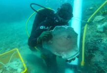 SINGAPUR: HALLAN RESTOS DE BARCOS NAUFRAGADOS HACE 200 AÑOS