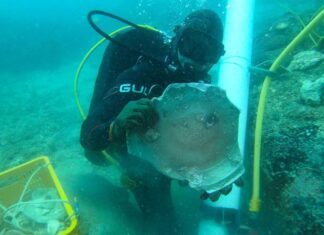 SINGAPUR: HALLAN RESTOS DE BARCOS NAUFRAGADOS HACE 200 AÑOS