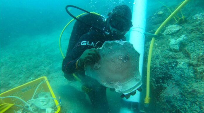 SINGAPUR: HALLAN RESTOS DE BARCOS NAUFRAGADOS HACE 200 AÑOS