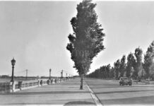 SANTA FE: EL RECUERDO DE LA GRAN BAJANTE DE 1938 QUE DEJÓ EL RÍO PARANÁ EN CERO