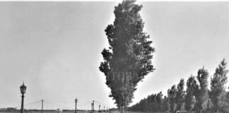 SANTA FE: EL RECUERDO DE LA GRAN BAJANTE DE 1938 QUE DEJÓ EL RÍO PARANÁ EN CERO