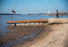 CONSECUENCIAS DE LA BAJANTE DEL RÍO PARANÁ: PECES MUERTOS Y UN POSIBLE DESABASTECIMIENTO