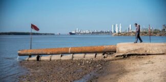 CONSECUENCIAS DE LA BAJANTE DEL RÍO PARANÁ: PECES MUERTOS Y UN POSIBLE DESABASTECIMIENTO