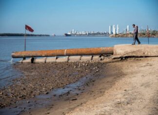 CONSECUENCIAS DE LA BAJANTE DEL RÍO PARANÁ: PECES MUERTOS Y UN POSIBLE DESABASTECIMIENTO