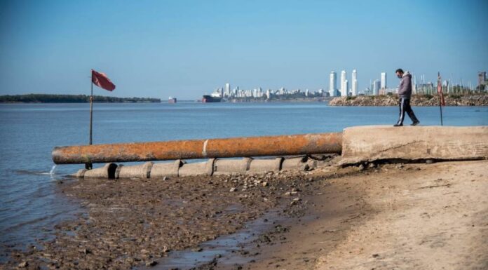 CONSECUENCIAS DE LA BAJANTE DEL RÍO PARANÁ: PECES MUERTOS Y UN POSIBLE DESABASTECIMIENTO