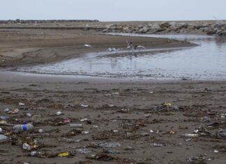 ADVIERTEN QUE LOS RESIDUOS DE LA PANDEMIA TERMINARÁN FORMANDO PISCINAS DE MICROPLÁSTICOS