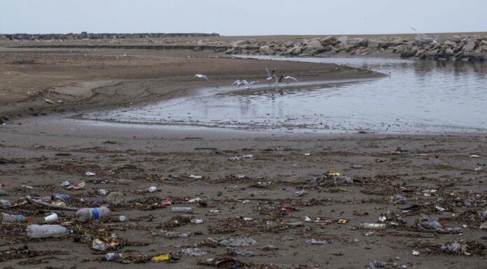 ADVIERTEN QUE LOS RESIDUOS DE LA PANDEMIA TERMINARÁN FORMANDO PISCINAS DE MICROPLÁSTICOS