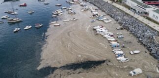 ¿QUE ES EL MOCO MARINO O MUCÍLAGO QUE AHOGA EL MAR DE MÁRMARA?