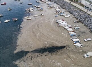 ¿QUE ES EL MOCO MARINO O MUCÍLAGO QUE AHOGA EL MAR DE MÁRMARA?