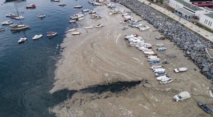 ¿QUE ES EL MOCO MARINO O MUCÍLAGO QUE AHOGA EL MAR DE MÁRMARA?
