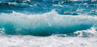 CALENTAMIENTO GLOBAL: LOS ACÉANOS BATEN RÉCORDS DE ALTAS TEMPÉRATURAS POR QUINTO AÑO CONSECUTIVO