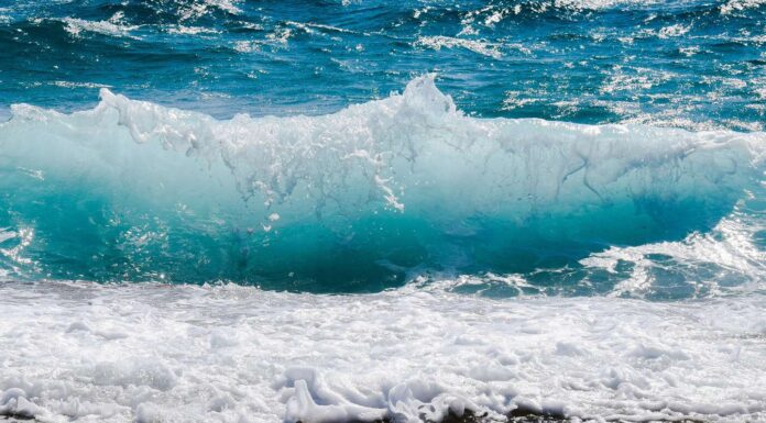 CALENTAMIENTO GLOBAL: LOS ACÉANOS BATEN RÉCORDS DE ALTAS TEMPÉRATURAS POR QUINTO AÑO CONSECUTIVO
