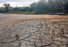 VIDEO- DEBIDO A LA BAJANTE EN ENTRE RÍOS, UN GRUPO DE CANOTAJE CRUZÓ EL RÍO PARANÁ CAMINANDO