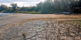 VIDEO- DEBIDO A LA BAJANTE EN ENTRE RÍOS, UN GRUPO DE CANOTAJE CRUZÓ EL RÍO PARANÁ CAMINANDO