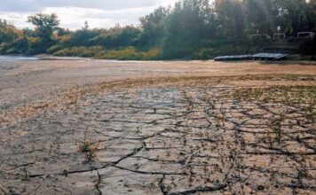 VIDEO- DEBIDO A LA BAJANTE EN ENTRE RÍOS, UN GRUPO DE CANOTAJE CRUZÓ EL RÍO PARANÁ CAMINANDO