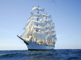 LA FRAGATA ARA “LIBERTAD” REGRESA A BUENOS AIRES TRAS SU 53° VIAJE DE INSTRUCCIÓN