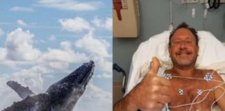 LA INCREÍBLE HISTORIA DE UN PESCADOR QUE FUE TRAGADO POR UNA BALLENA Y SOBREVIVIÓ