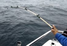 GESTIONAN ANTE PREFECTURA LA REACTIVACIÓN DE LA PESCA EMBARCADA EN MIRAMAR