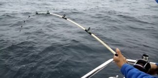 GESTIONAN ANTE PREFECTURA LA REACTIVACIÓN DE LA PESCA EMBARCADA EN MIRAMAR