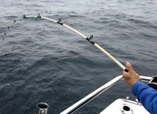 GESTIONAN ANTE PREFECTURA LA REACTIVACIÓN DE LA PESCA EMBARCADA EN MIRAMAR