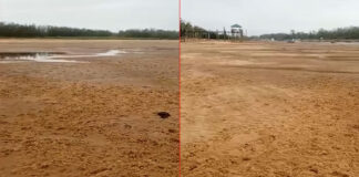 VIDEO- DEBIDO A LA BAJANTE EN ENTRE RÍOS, NUEVAMENTE CRUZARON EL RÍO PARANÁ CAMINANDO