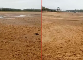 VIDEO- DEBIDO A LA BAJANTE EN ENTRE RÍOS, NUEVAMENTE CRUZARON EL RÍO PARANÁ CAMINANDO