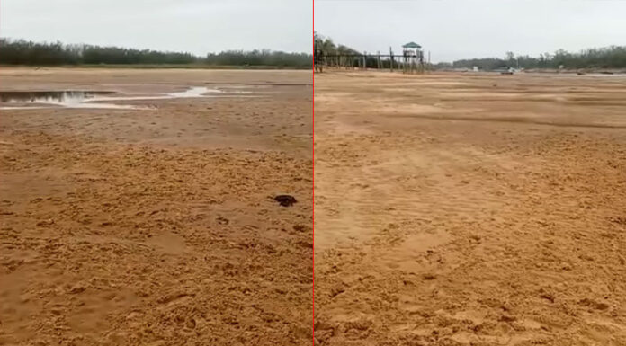 VIDEO- DEBIDO A LA BAJANTE EN ENTRE RÍOS, NUEVAMENTE CRUZARON EL RÍO PARANÁ CAMINANDO