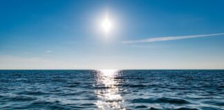 DÍA MUNDIAL DE LOS OCÉANOS: POR QUÉ SE CELEBRA EL 8 DE JUNIO