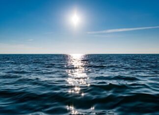 LA TEMPERATURA DEL MAR EN MAR DEL PLATA EN ENERO PROMEDIÓ LOS 21,6 GRADOS