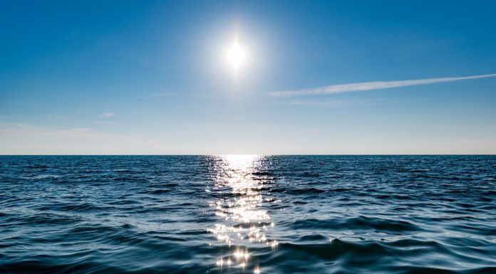 DÍA MUNDIAL DE LOS OCÉANOS: POR QUÉ SE CELEBRA EL 8 DE JUNIO