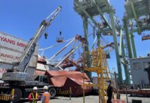 VIDEO- UN BUQUE PORTACONTENEDORES DERRIBÓ DOS GRÚAS DURANTE UNA MANIOBRA EN UN PUERTO DE TAIWÁN