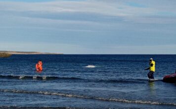CHUBUT: PREFECTURA ASISTIÓ A TRES NAVEGANTES QUE QUEDARON VARADOS TRAS SUFRIR UN PERCANCE CON SU VELERO