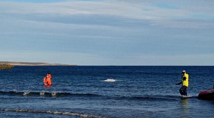 CHUBUT: PREFECTURA ASISTIÓ A TRES NAVEGANTES QUE QUEDARON VARADOS TRAS SUFRIR UN PERCANCE CON SU VELERO