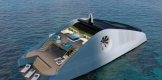 UNA MIRADA AL CONCEPTO DE “CETÁCEO” DE CARBONO NEUTRO QUE NO DAÑA EL MEDIOAMBIENTE